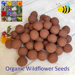 50x Samenbomben BIO Seedball Samenkugel Seed bomb Organic