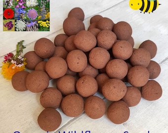 Samenbomben Seedbombs BIO Seedball 10 20 50 100 Samenkugel Seed bomb Organic Samenball