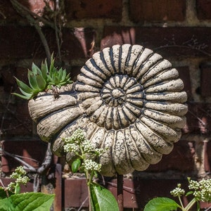 Könnte beinhalten: Ein dekorativer, beige-farbener, muschelförmiger Pflanztopf mit Spiralmuster, der eine kleine Sukkulentenpflanze enthält. Der Pflanztopf ist vor einer roten Backsteinmauer auf einem Metallstab befestigt, mit grünem Laub im Vordergrund.