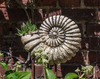 Tronco di ammonite in ceramica - adesivi - ceramica da giardino - decorazione giardino