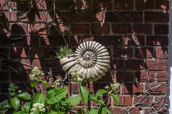 Keramik Schnecke Ammonit Pflanzgefäß handgemacht | Spiral Gartenstecker bepflanzbar | wetterfeste Gartendeko Skulptur Unikat Ton Topf