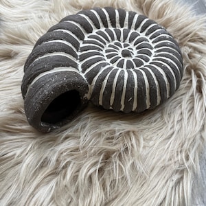 May include: A dark brown ammonite fossil sculpture with white accent lines. The fossil is placed on a fluffy, light brown faux fur surface. The spiral design is a prominent feature of the sculpture.