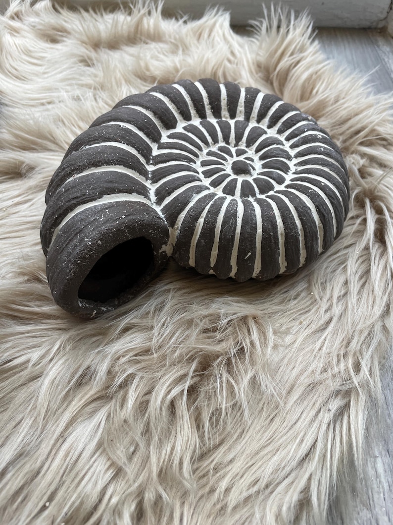 May include: A dark brown ammonite fossil sculpture with white accent lines. The fossil is placed on a fluffy, light brown faux fur surface. The spiral design is a prominent feature of the sculpture.