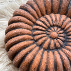 May include: A close-up of a terracotta-coloured, spiral-shaped decorative object, resembling a fossilised ammonite shell. The object has a textured surface with dark brown accents in the grooves, set against a soft, off-white background.