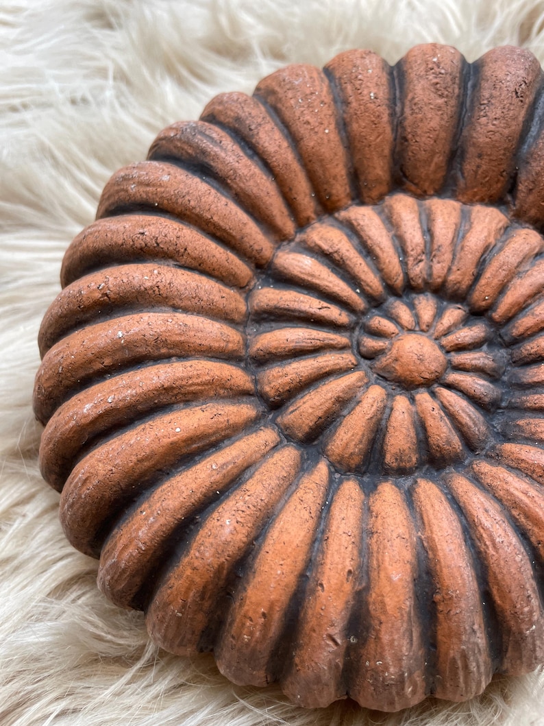 May include: A close-up of a terracotta-coloured, spiral-shaped decorative object, resembling a fossilised ammonite shell. The object has a textured surface with dark brown accents in the grooves, set against a soft, off-white background.
