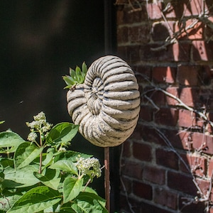 Ceramic snail Ammonite planter handmade | Spiral garden plug plantable | weatherproof garden decoration Sculpture unique clay pot image 6