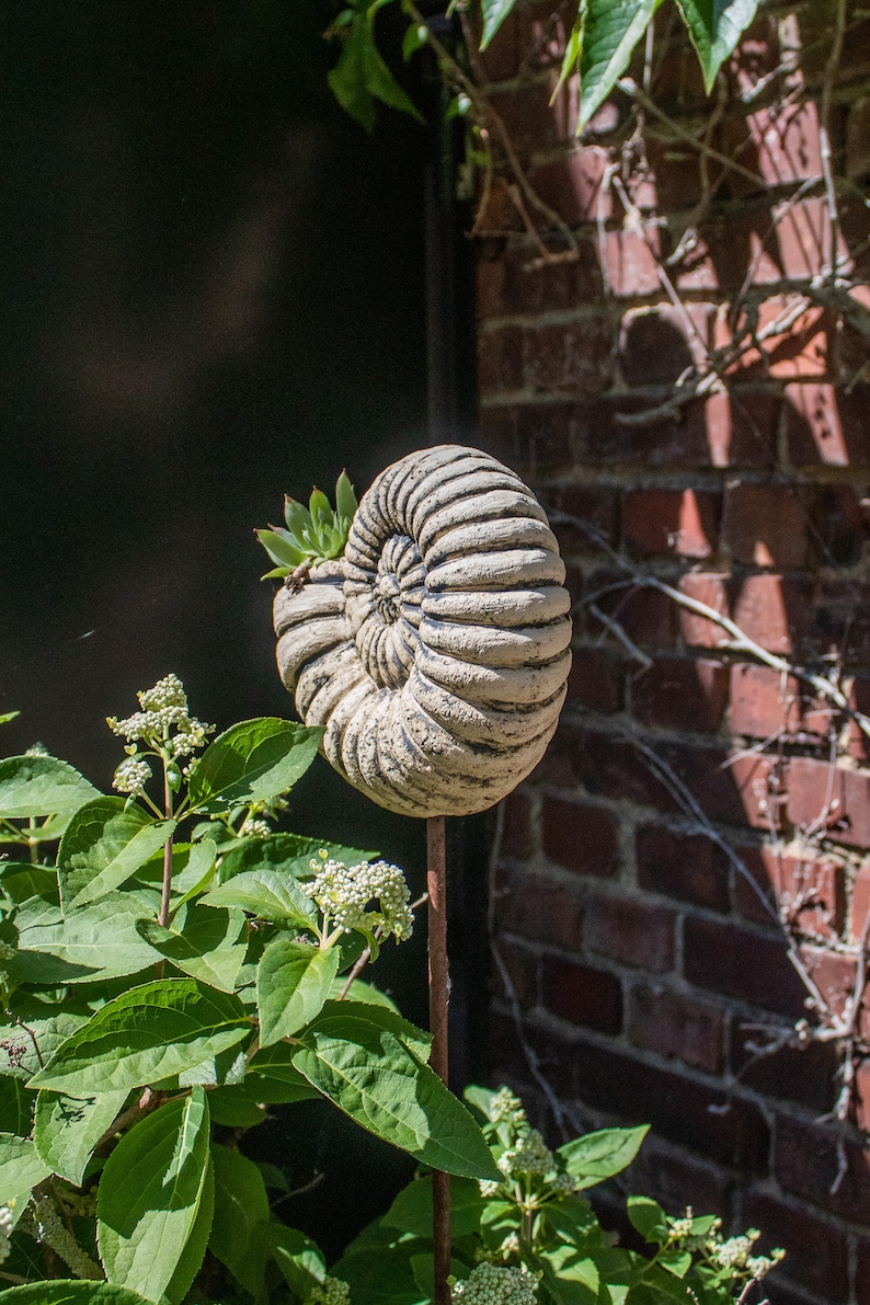 Ceramic snail Ammonite planter handmade | Spiral garden plug plantable | weatherproof garden decoration Sculpture unique clay pot image 6