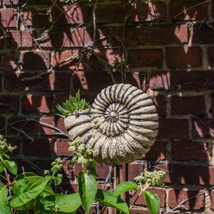 May include: A beige, fossil-shaped planter with a succulent plant inside. The planter is mounted on a metal rod, set against a red brick wall with climbing vines. The image is taken in natural light.