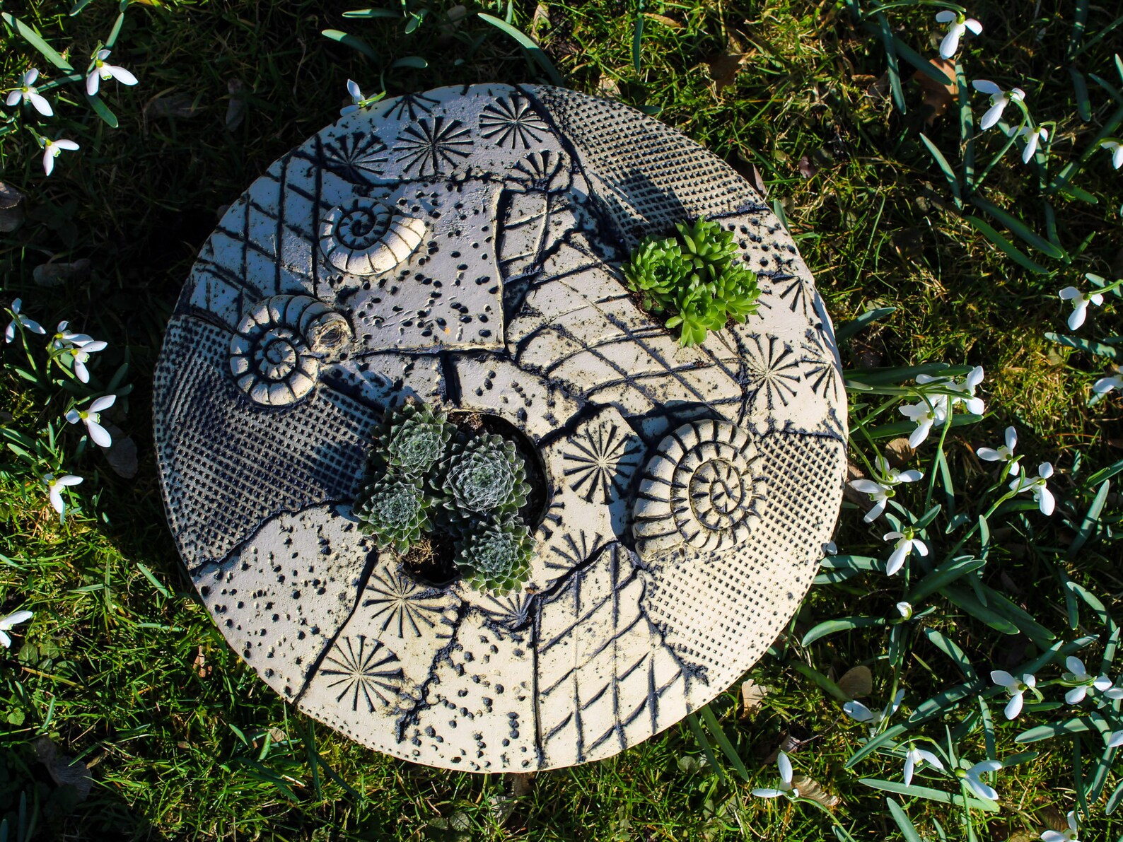 Cuenco suculento 35 cm decoración del jardín jardín | Etsy