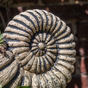 May include: A close-up of a decorative, spiral-shaped planter, reminiscent of an ammonite fossil. The planter is a light beige with dark detailing, and it contains a small succulent plant with green leaves. The background is a blurred brick wall.