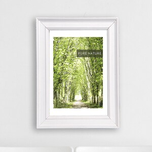 Poster Natur "Pure Nature - One" | Wandbild Natur, Print Natur, Digitalart, Kunstdruck, Printdesign, Posterart, Fotodruck, Wald, Natur, grün