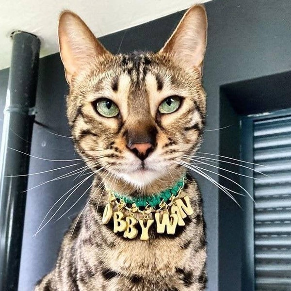 Breakaway chain pet collar necklace, Gold and silver custom made safe collar for cats and dogs, Pet owner gift, Cat dog fancy luxury collar