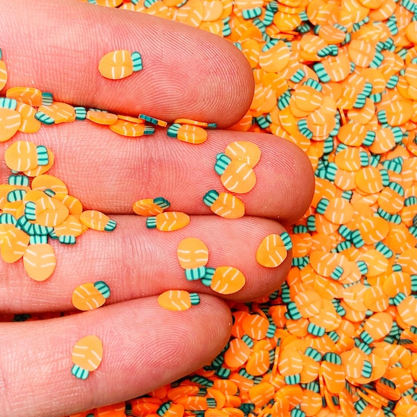 Carrot Fimo Slices, Polymer Clay Slices, Nail Art, Miniature, Easter Sprinkles, Affordable, Free Shipping Eligible, #70