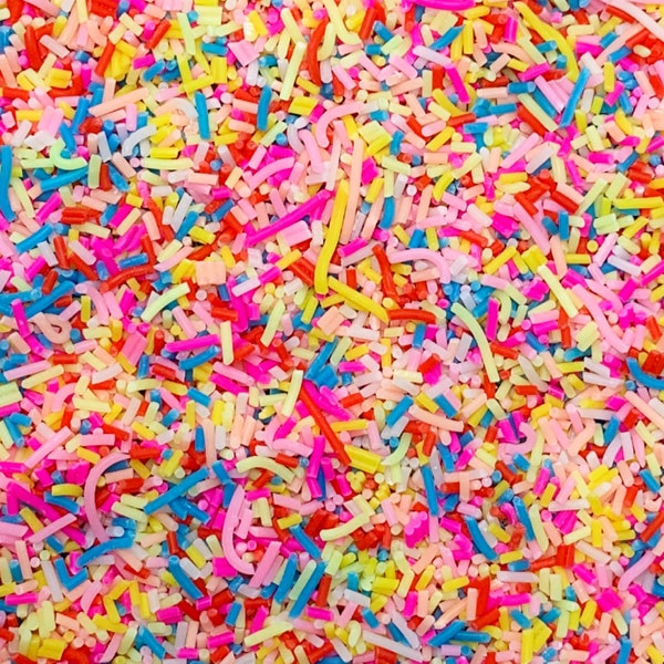 Rainbow Polymer Clay Faux Sprinkles, Fake Sprinkles, Decoden Rainbow, Free Shipping Eligible, Slime Supplies, Affordable, High Quality, #01