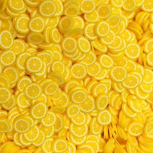 Lemon Fimo Slices, Polymer Clay Fruit Slices, Nail Art, Miniature, Sprinkles, High Quality, Affordable, Free Shipping Eligible, #18