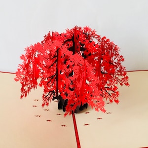 Pop up maple tree, pop up maple tree, greeting card, maple tree gift, Japanese maple, 3D greeting card, pop up maple tree