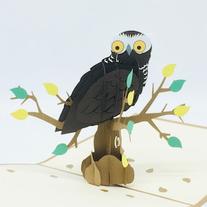 Uil, Uil, pop-upkaart, 3D-kaart, pop-upkaart, wenskaart