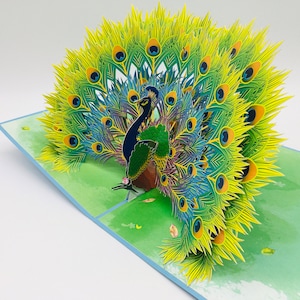 Pavone, biglietto 3D/biglietto pop-up/biglietto pieghevole