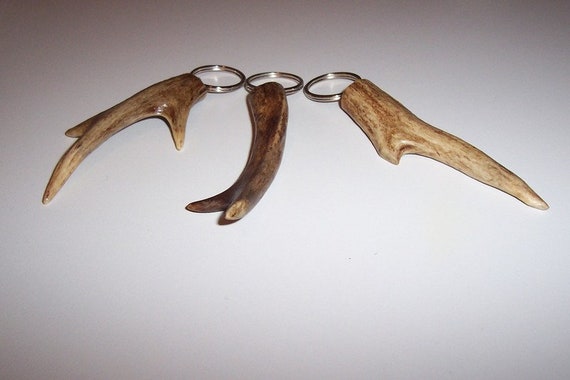 Décoration Cerf + Chevreuil Soliers