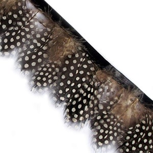 GF Guinea Fowl Feather Fringe 2.5 inches/w- 2 Meters