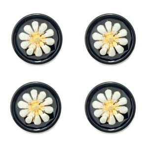 Set of 4 White and Gold Tone Chamomile Flower Buttons in a Black Acrylic Setting - 28 mm