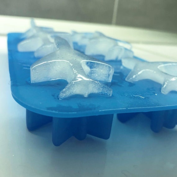 Aircraft Ice Mold, Airplane Shape, Airplane Shape Silicone Mold, Pilot  Party, Aviation Party, Set of 2 Molds Together, Gift for the Pilot 