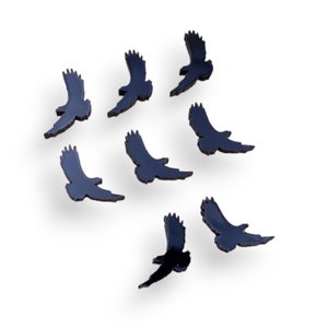 Eagle Acrylic Cutouts – Laser Cut Shapes for Scout Badge Crafts, Patriotic Decor Bits, Wildlife Dioramas, Veteran Tribute Projects