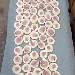 May include: Numerous small, circular wooden slices, each with a pale brown outer ring and a purplish-red centre. The slices are neatly arranged on a grey surface, highlighting their natural wood grain. These could be used for various craft or decorative projects.