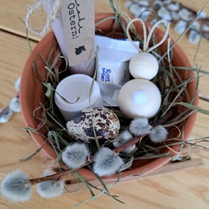 Anzuchtset Mit Schmuckkörbchen – Ostergeschenk Mit Samen In Süßer Blumendose
