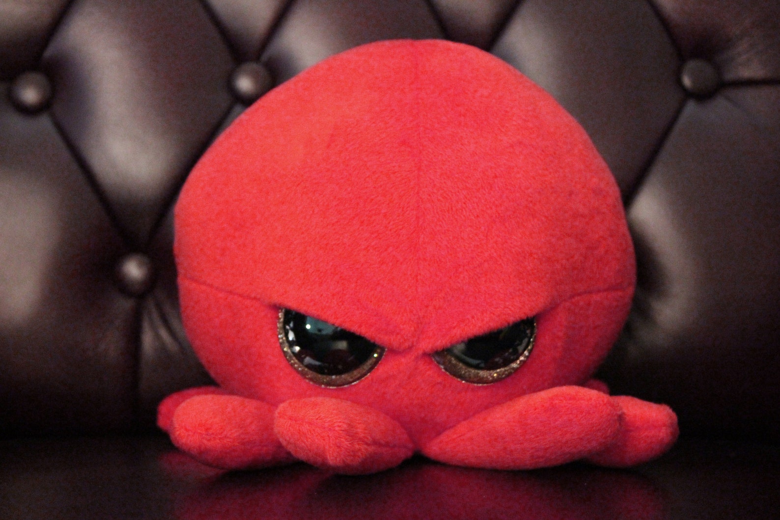 Very Cute Grumpy Little Octopus Plush Toy Soft Sea Creature | Etsy
