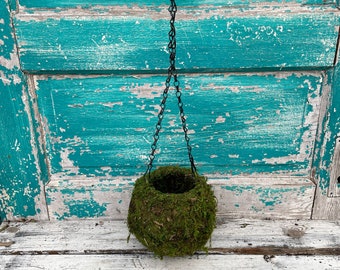 Kokedama Hanging Planter 6" (moss ball) (no plant included)