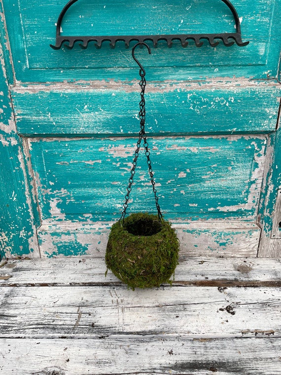 gold hanging plants Shop Handmade Gold Hanging Glass  NCYPgarden