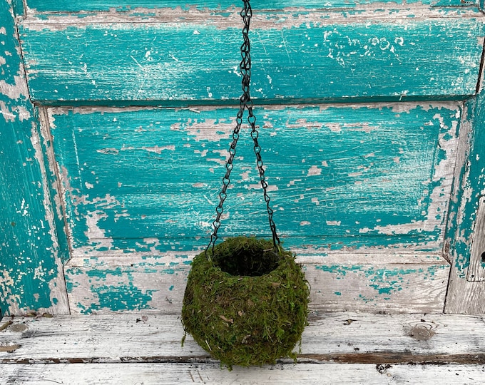 Kokedama Hanging Planter 6" (moss ball) (no plant included)