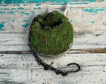 Kokedama Hanging Planter 4" (moss ball) (no plant included)