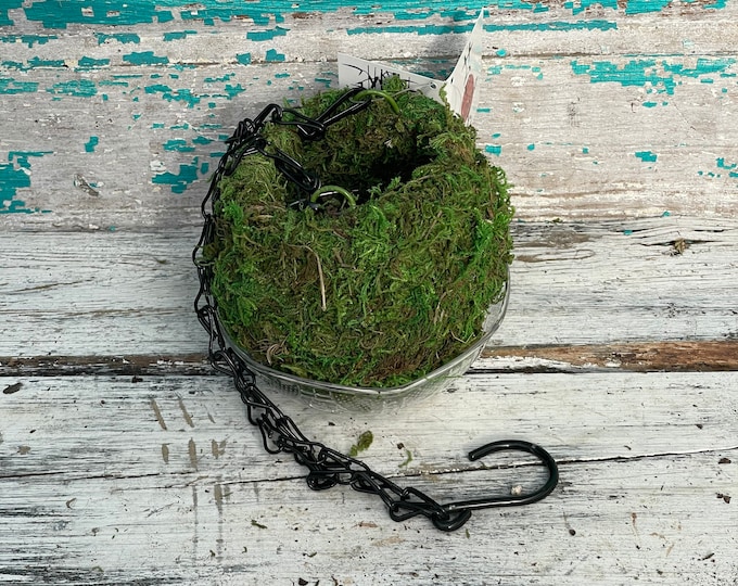 Kokedama Hanging Planter 4" (moss ball) (no plant included)