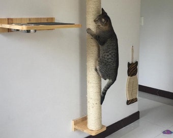 cat play pole