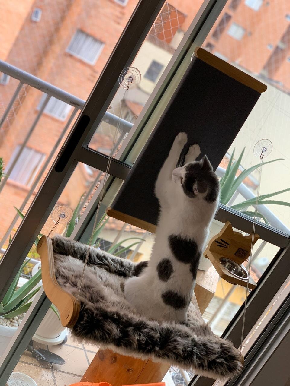 cat window hammock