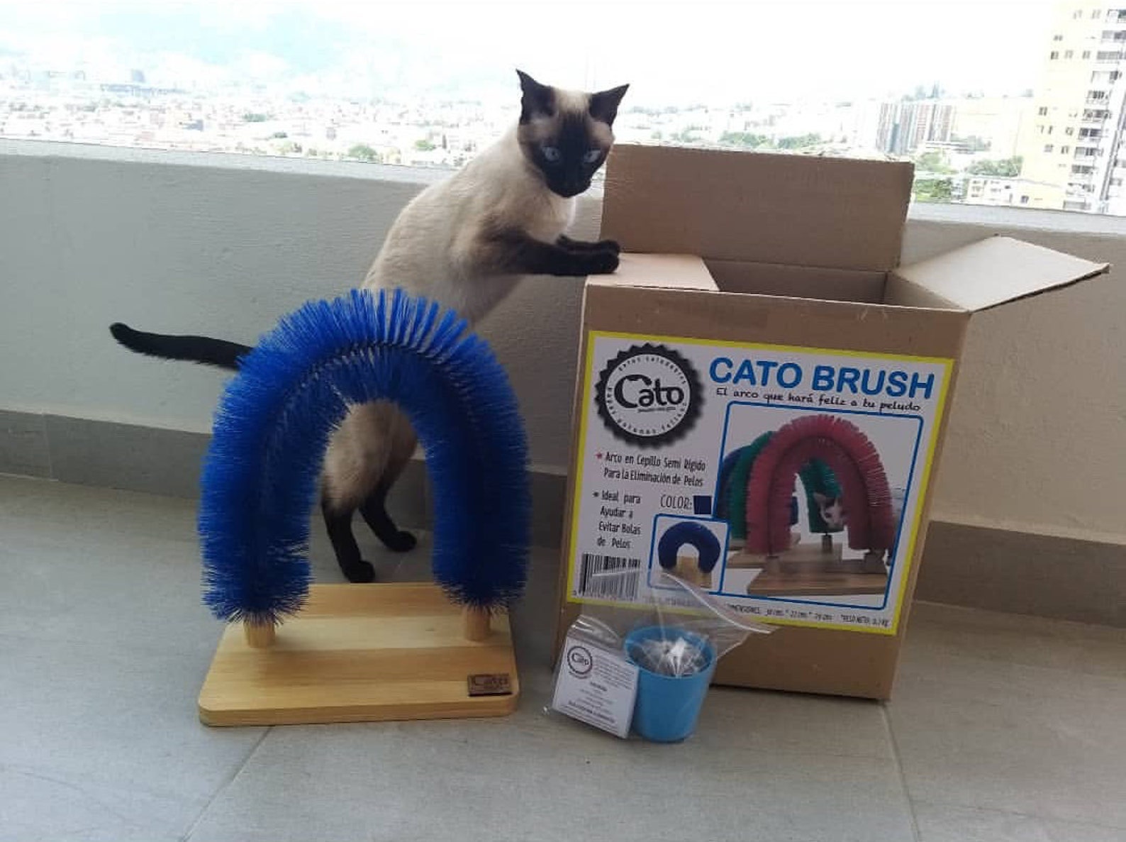 Cat Self Scratching and Grooming Arch Etsy