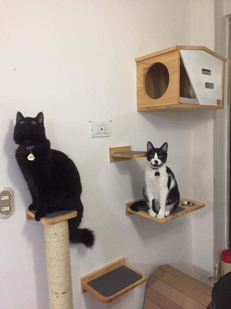 Cat Wall Climbing Steps Etsy