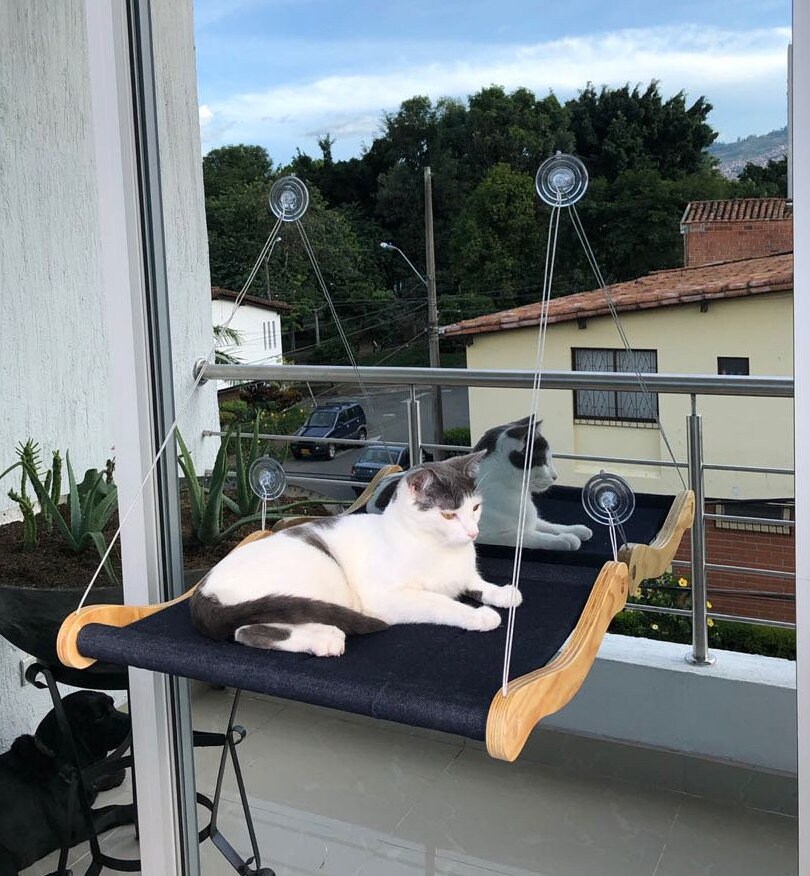 cat hammock window car