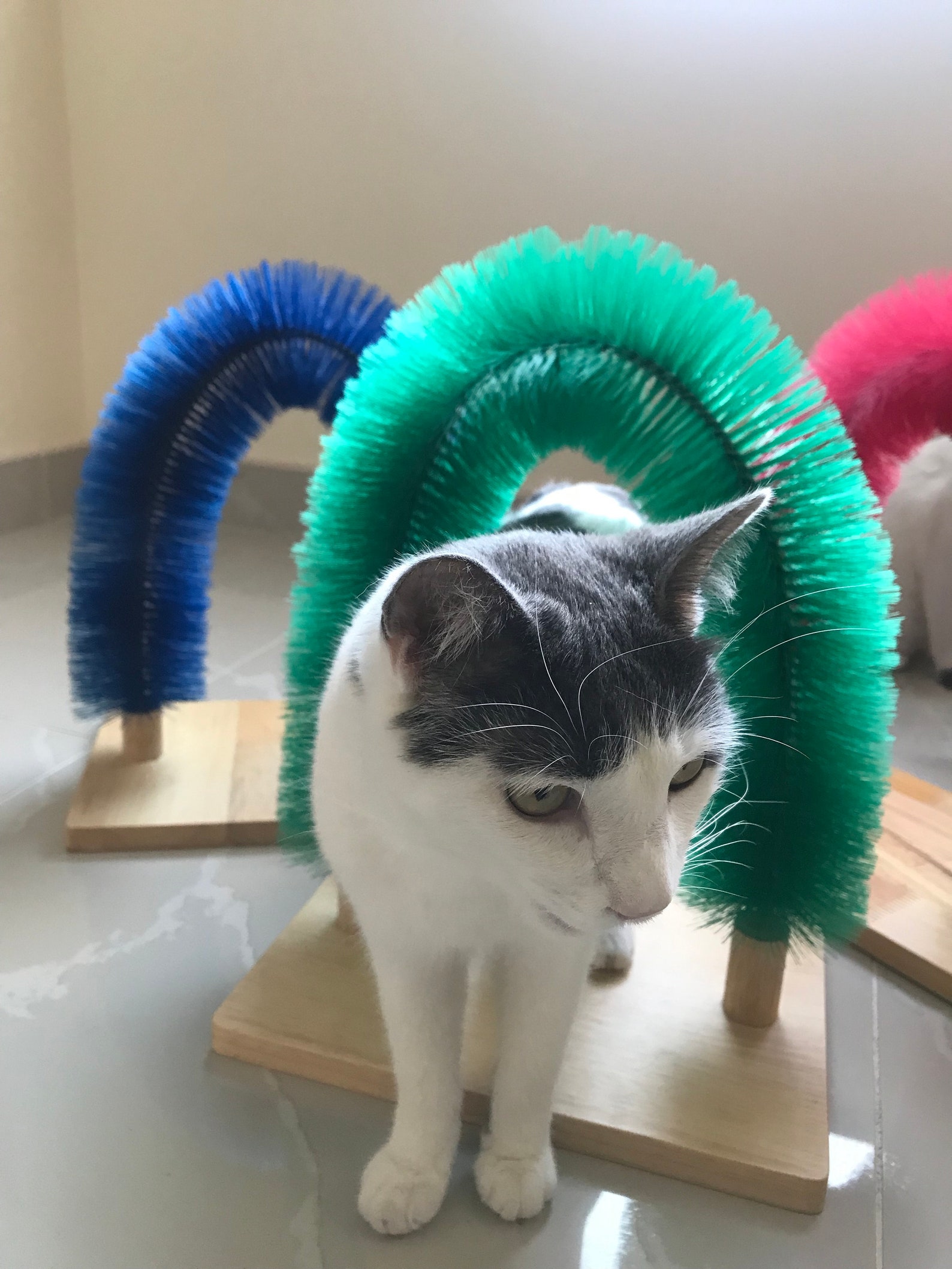 Cat Self Scratching and Grooming Arch Etsy