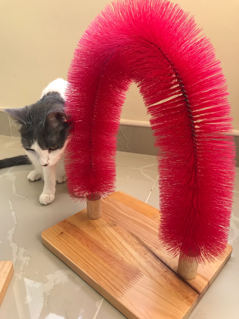 Cat Self Scratching and Grooming Arch Etsy