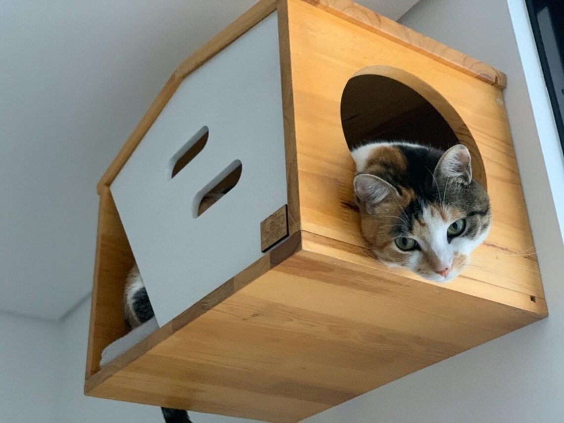 Cat Wall Mounted Resting House Etsy