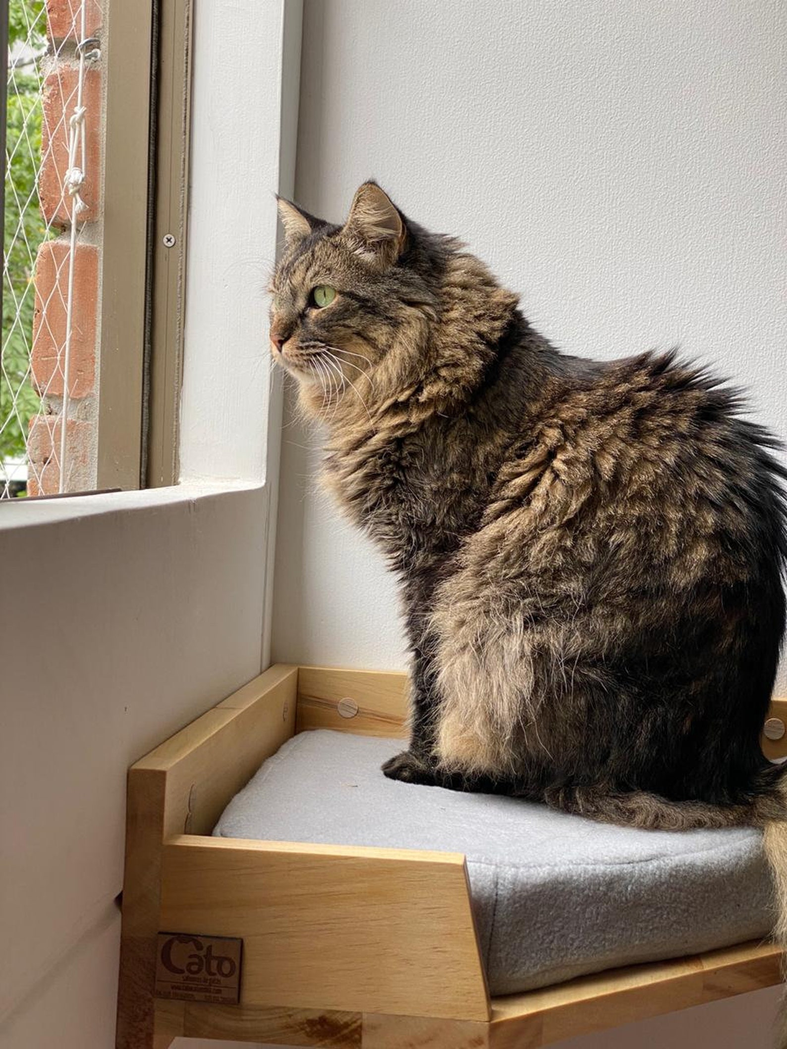 Wall Mounted Cat Corner Bed - Etsy