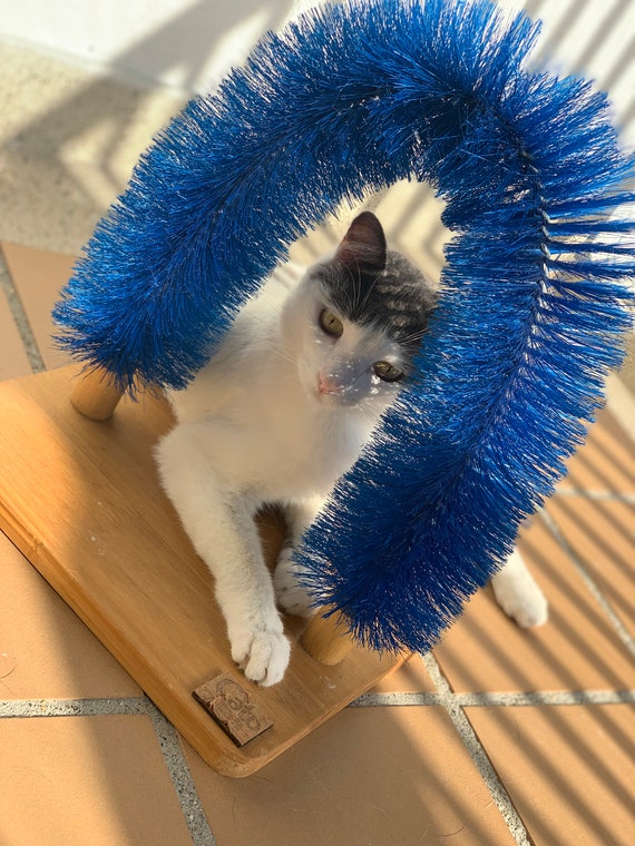 Cat Self Scratching and Grooming Arch Etsy