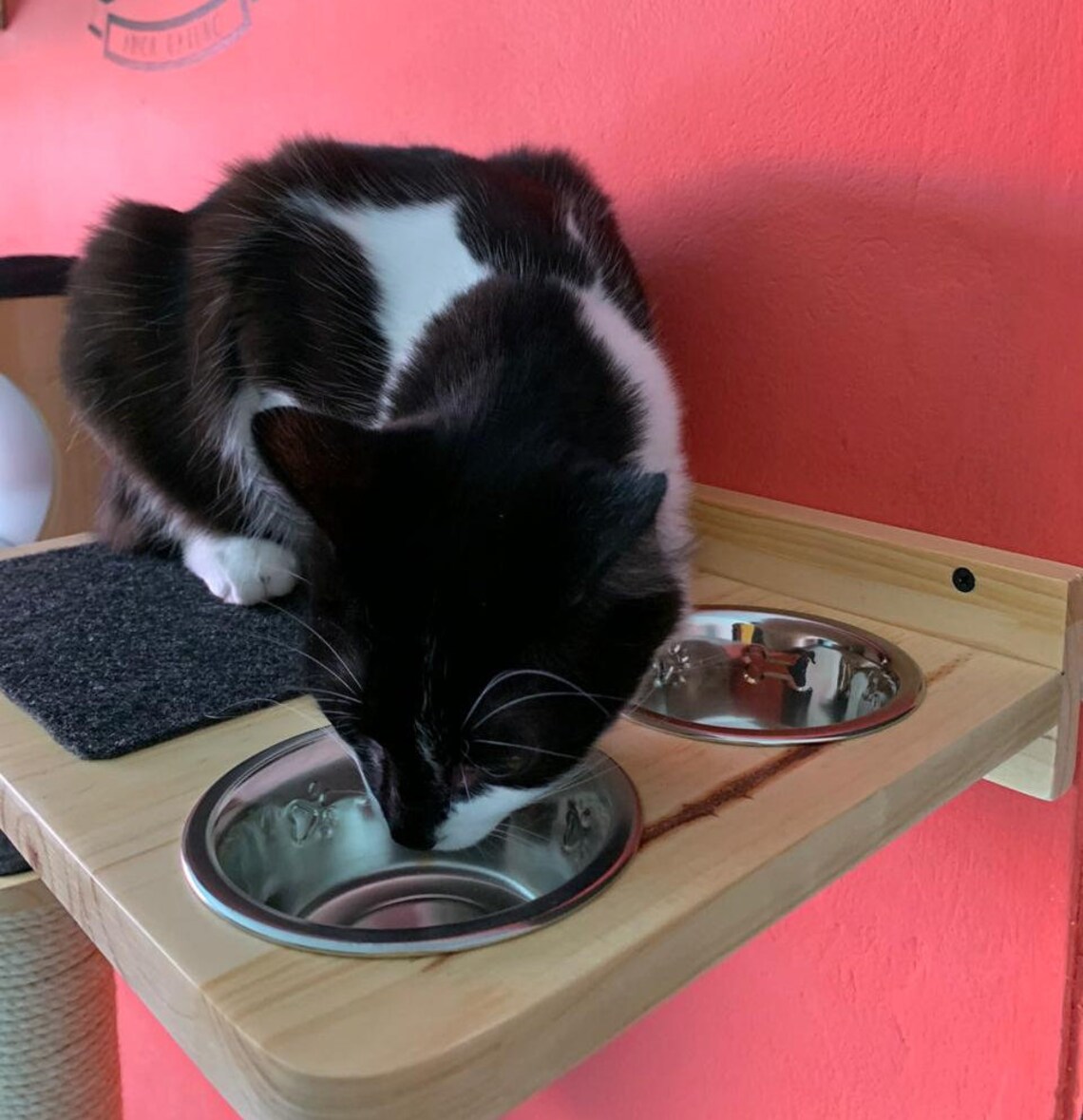 Wall Mounted Cat Feeders Etsy