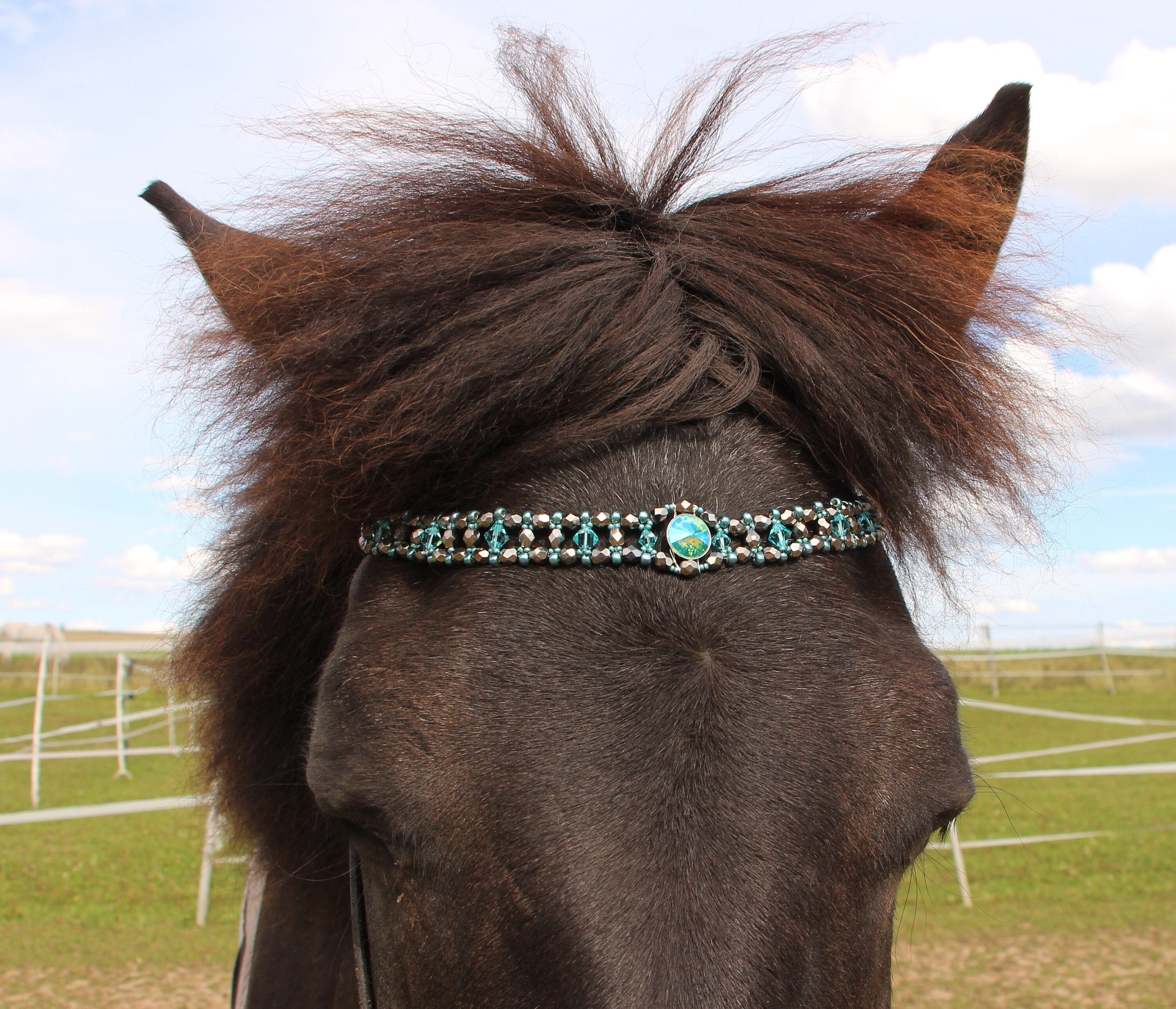 Horse headband chrome turquoise real Swarovski crystal Etsy