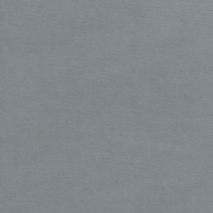 GOTS BIO 100% cotton Nicky approx. 165 cm wide grey (monument) by C. Pauli
