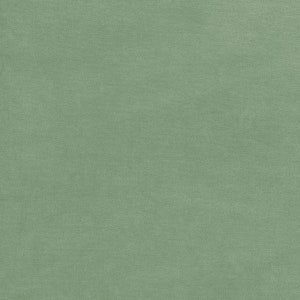GOTS BIO 100% cotton Nicky approx. 165 cm wide pistachio (green bay) by C. Pauli