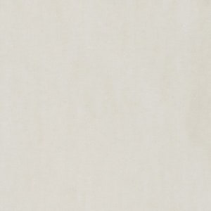 GOTS BIO 100% cotton Nicki approx. 165 cm wide white (natural white) by C. Pauli
